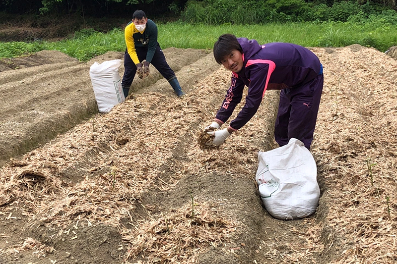 契約農家様と取引しております